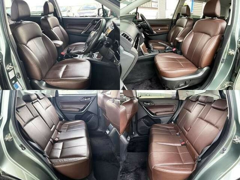 FORESTER-4