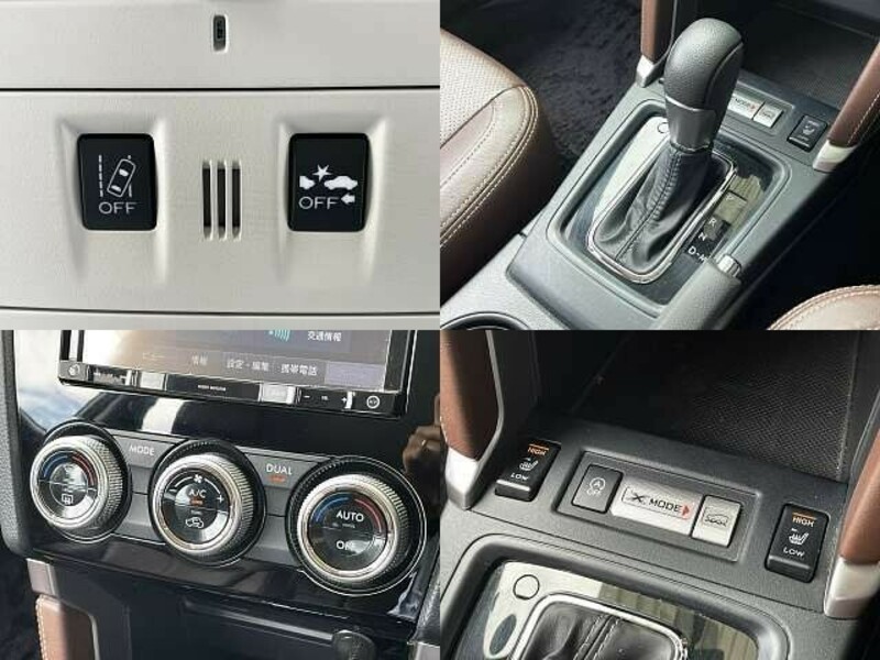 FORESTER-6