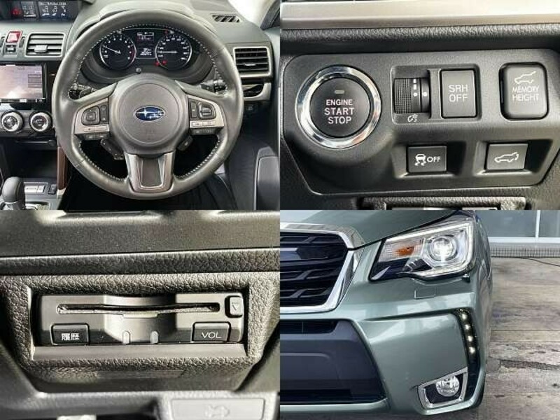 FORESTER-7