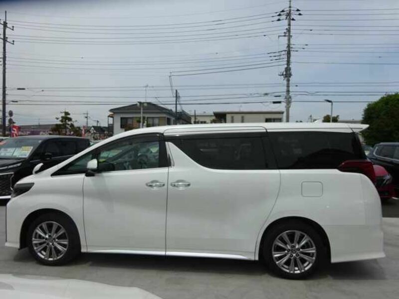ALPHARD-6