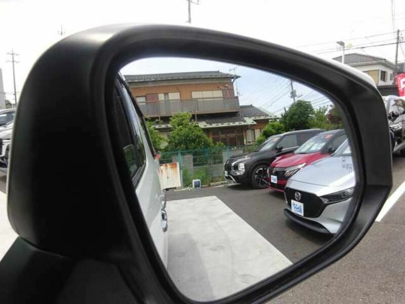 ALPHARD-12