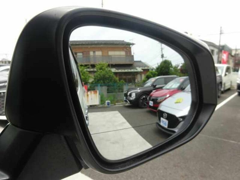 ALPHARD-13