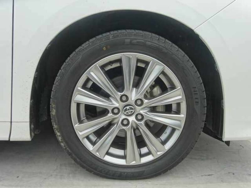 ALPHARD-14