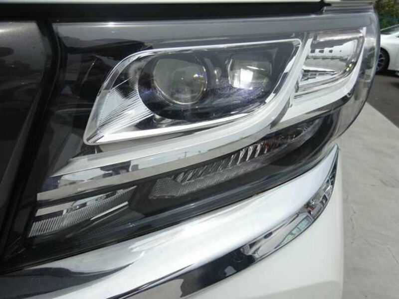 ALPHARD-16