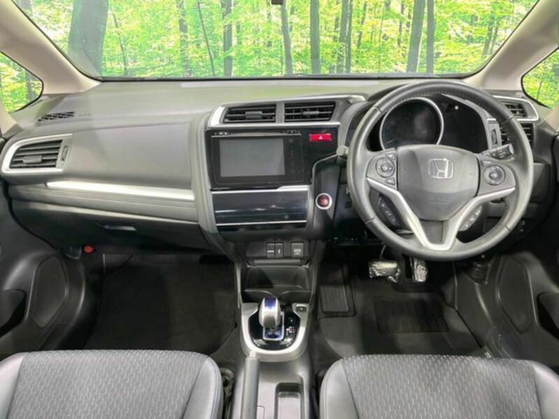 FIT HYBRID-1