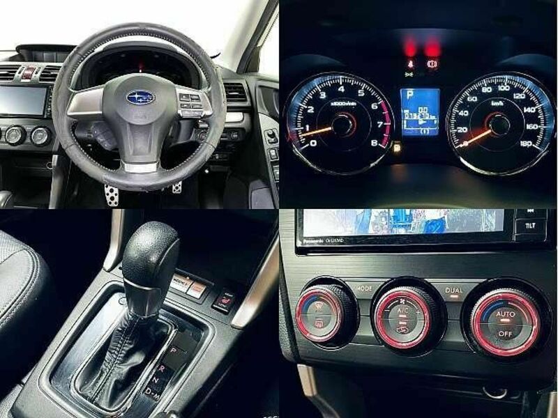 FORESTER