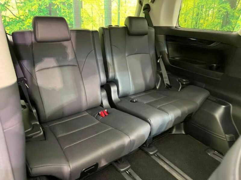 ALPHARD-9