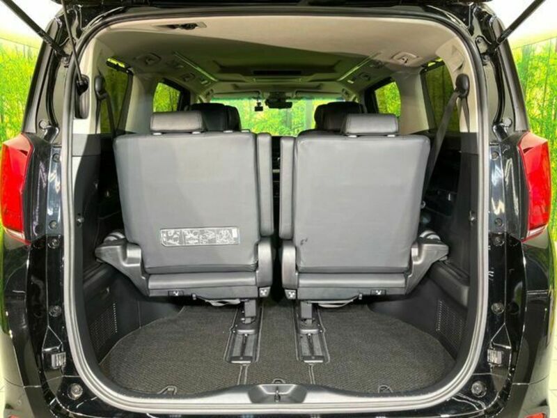 ALPHARD-10