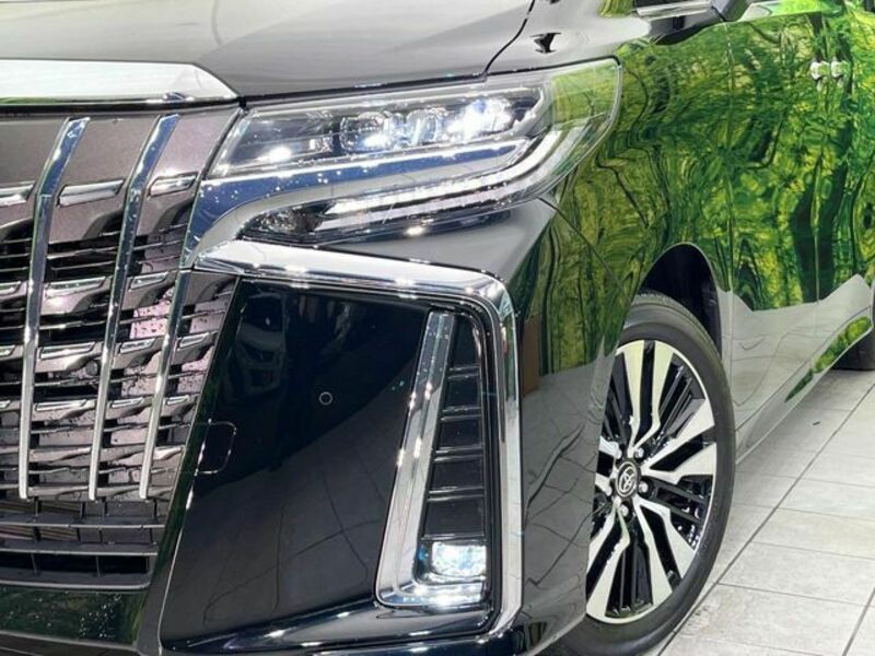 ALPHARD-12