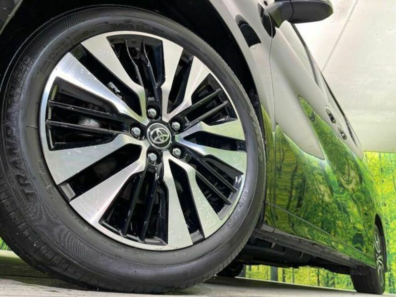 ALPHARD-13