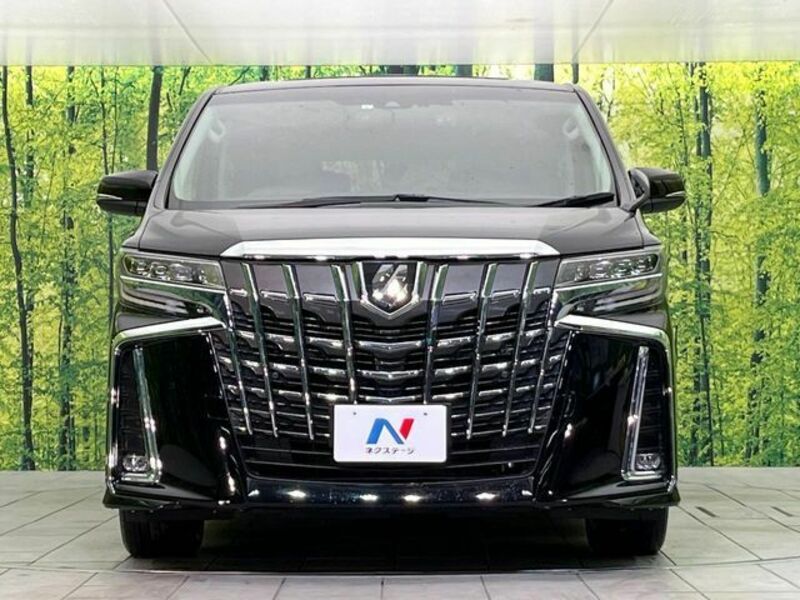 ALPHARD-14