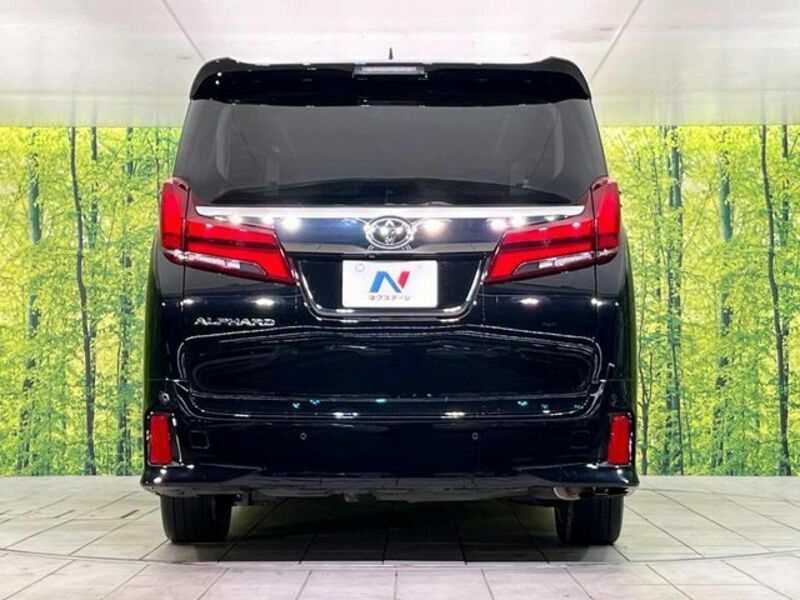ALPHARD-15