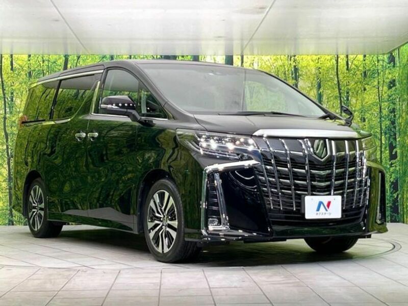 ALPHARD-16