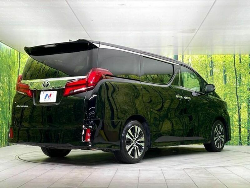 ALPHARD-17
