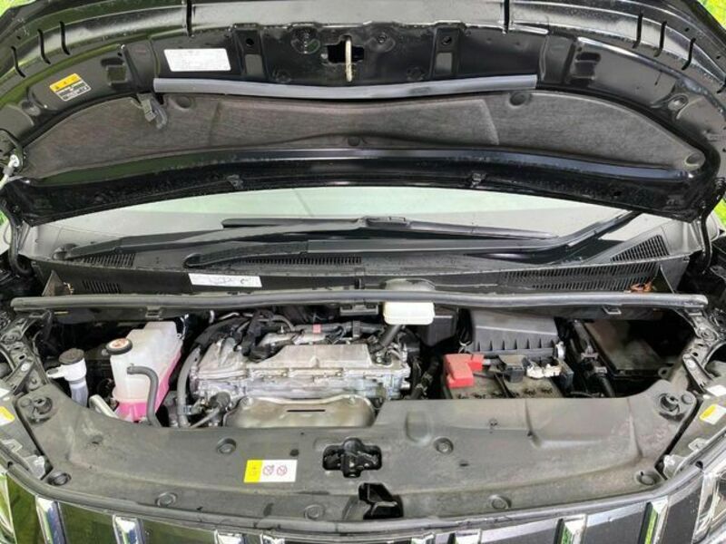 ALPHARD-18