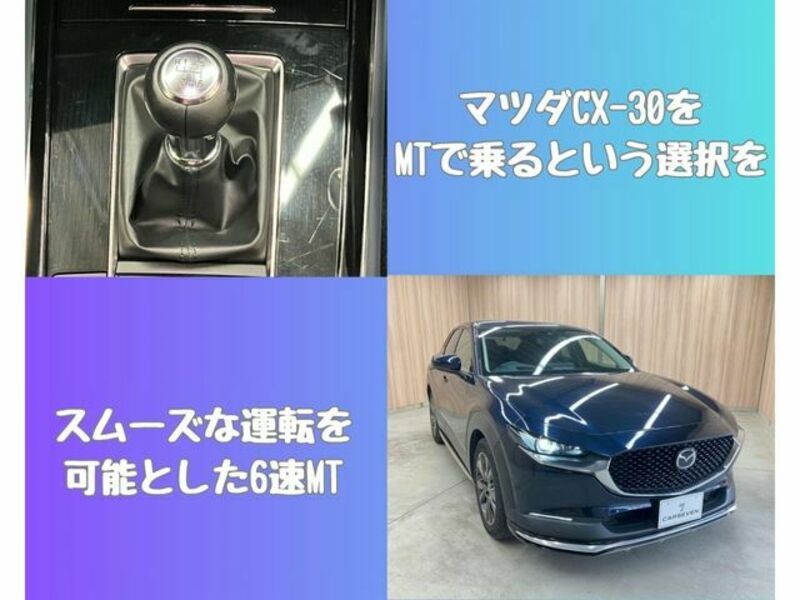 CX-30