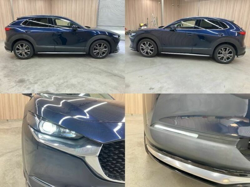 CX-30