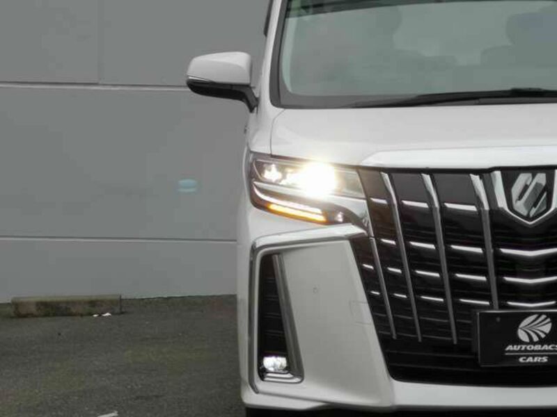 ALPHARD-6