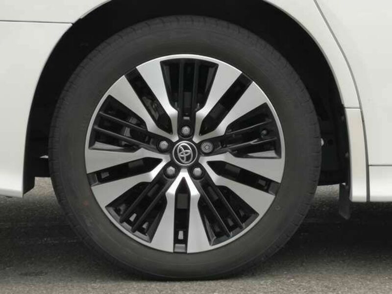 ALPHARD-10