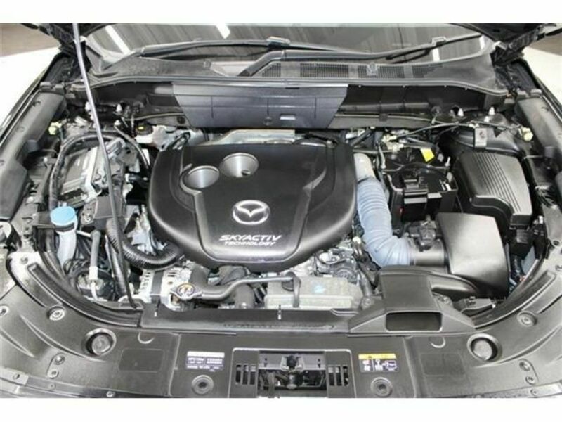 CX-8