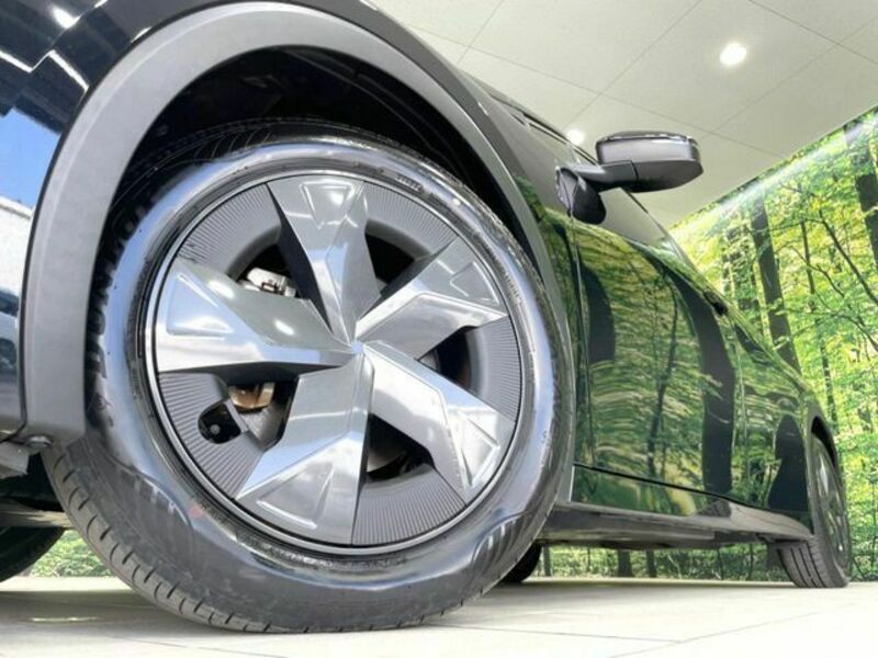 PRIUS-12