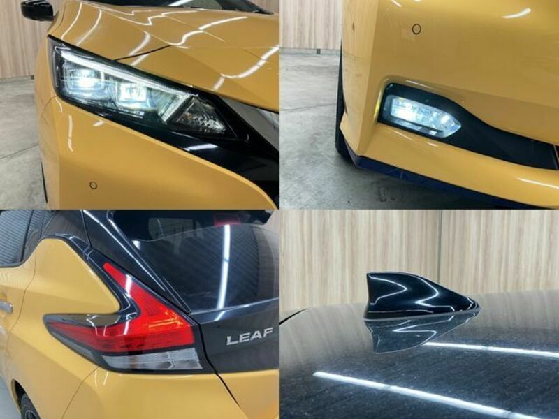 LEAF-23