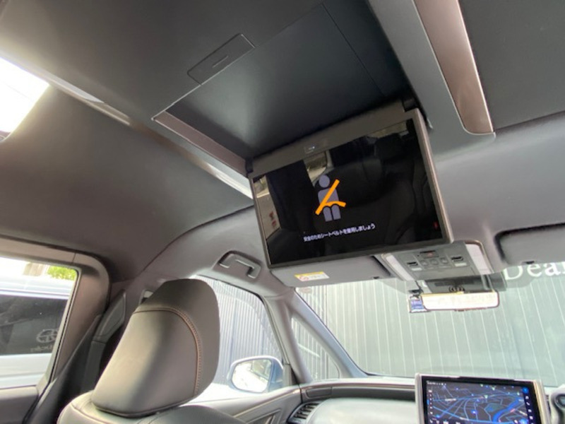 ALPHARD-19