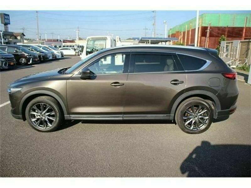 CX-8