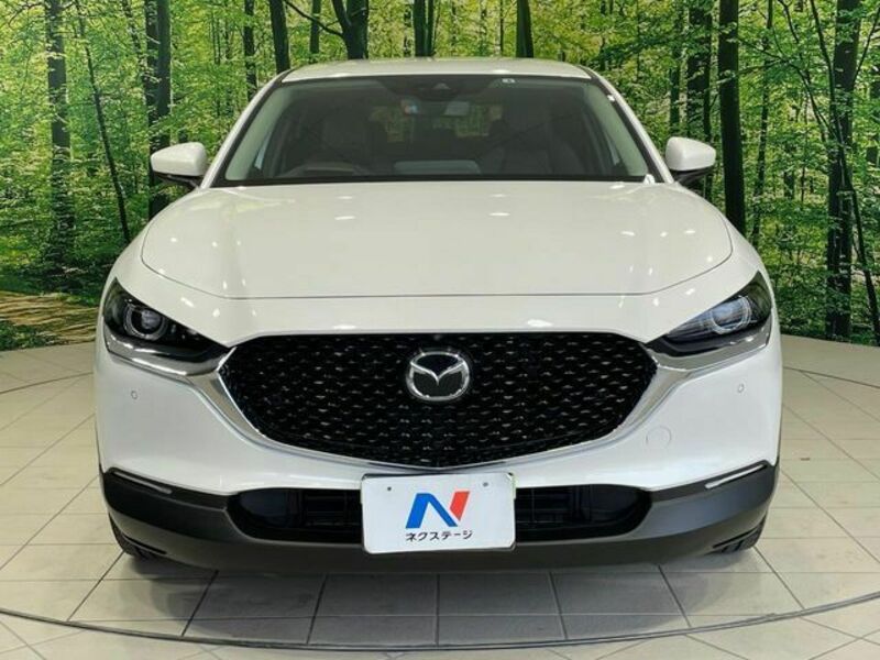 CX-30