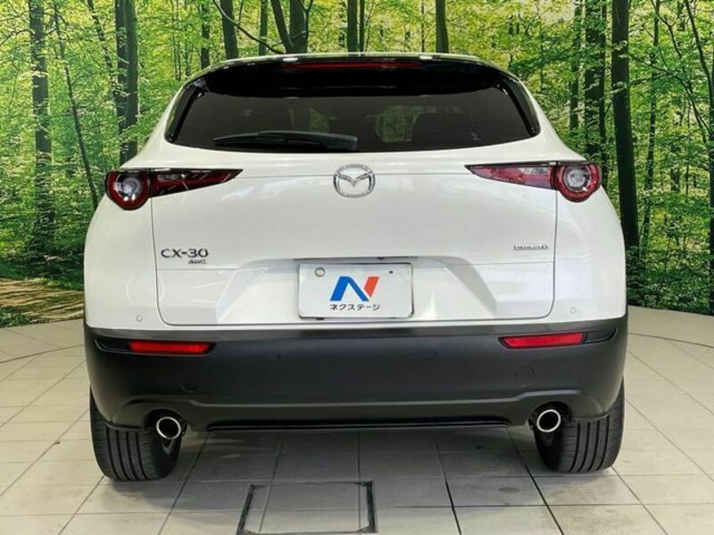 CX-30