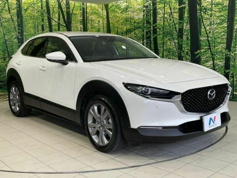 CX-30