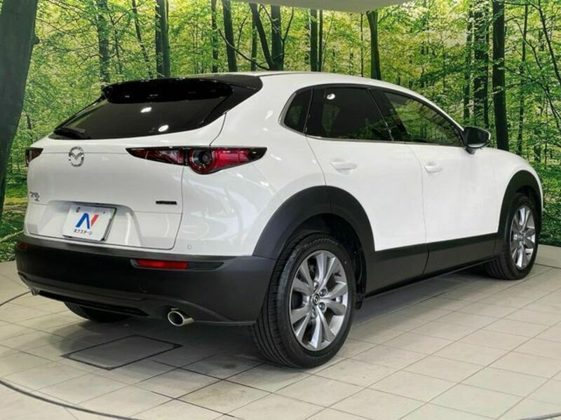 CX-30