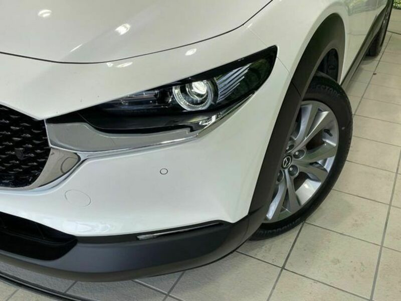 CX-30