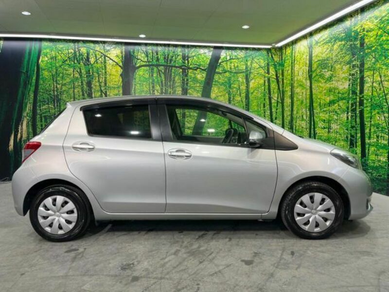 VITZ-11