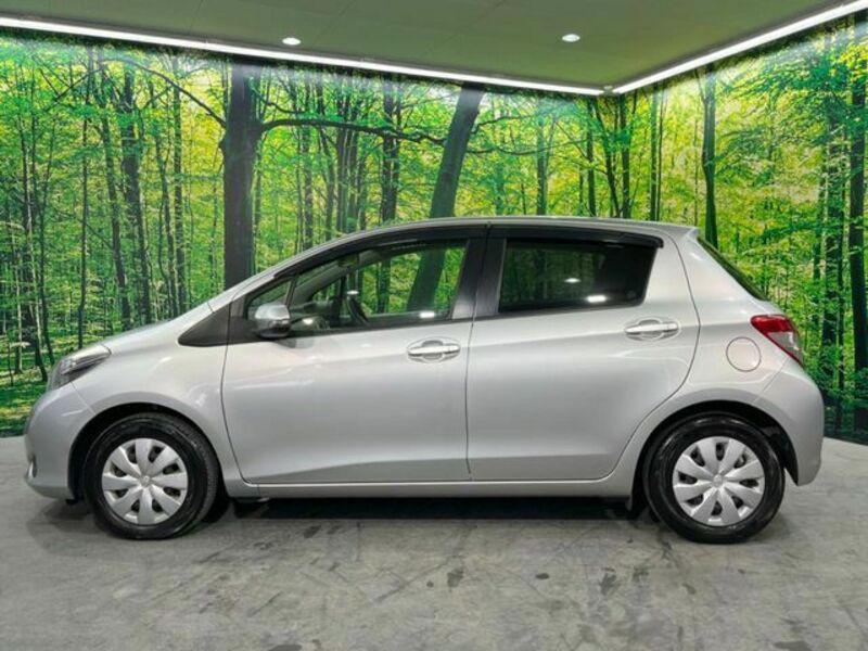 VITZ-12