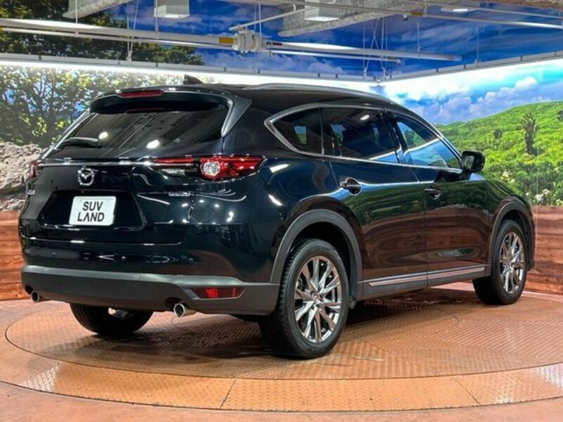 CX-8