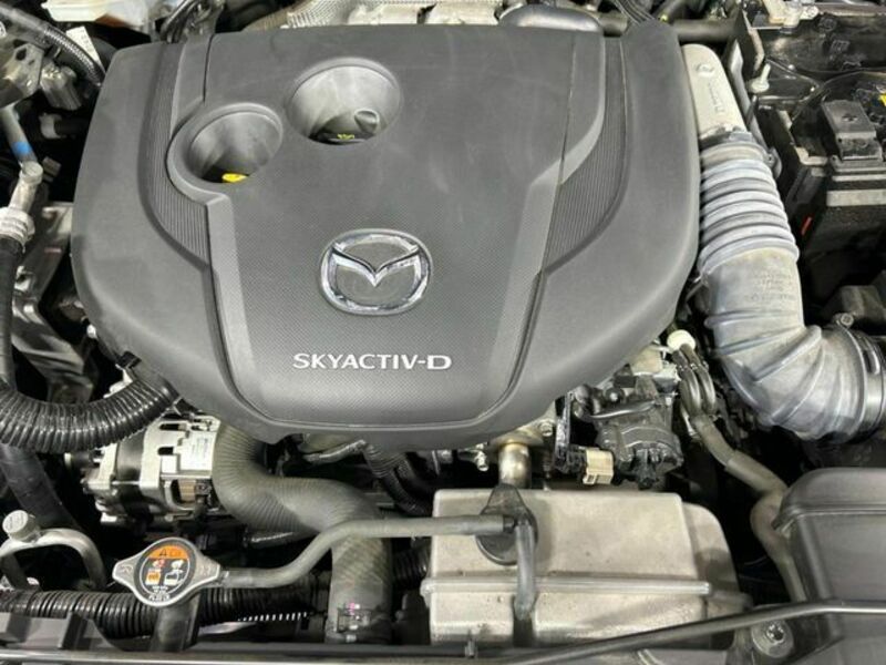 CX-8