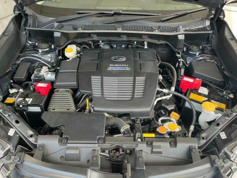 FORESTER-17