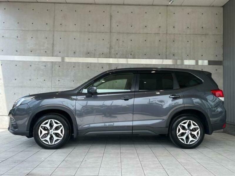 FORESTER-19