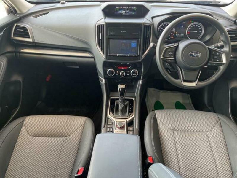 FORESTER-1