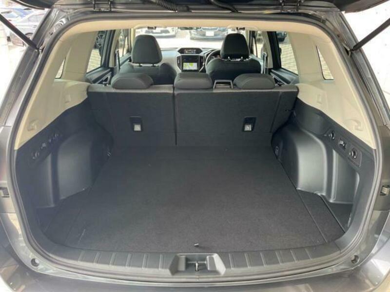 FORESTER-10