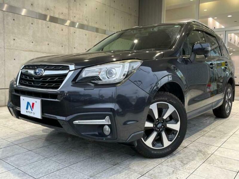 FORESTER-15
