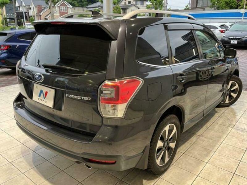FORESTER-16