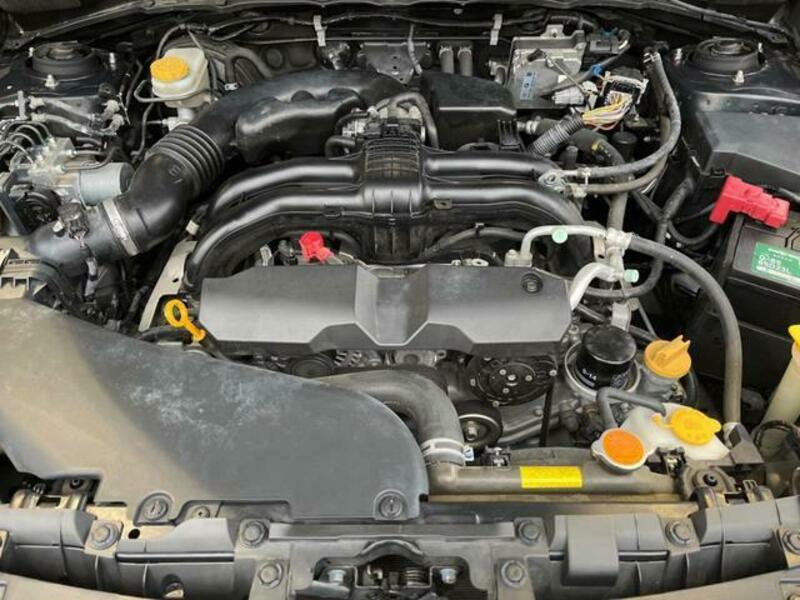 FORESTER-17