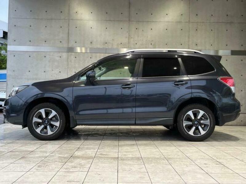 FORESTER-19