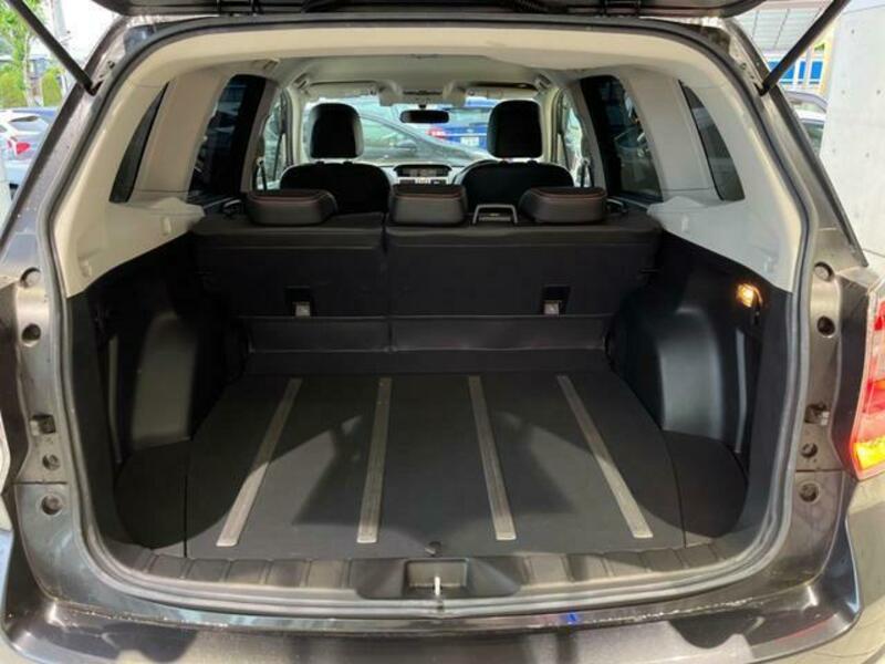 FORESTER-10