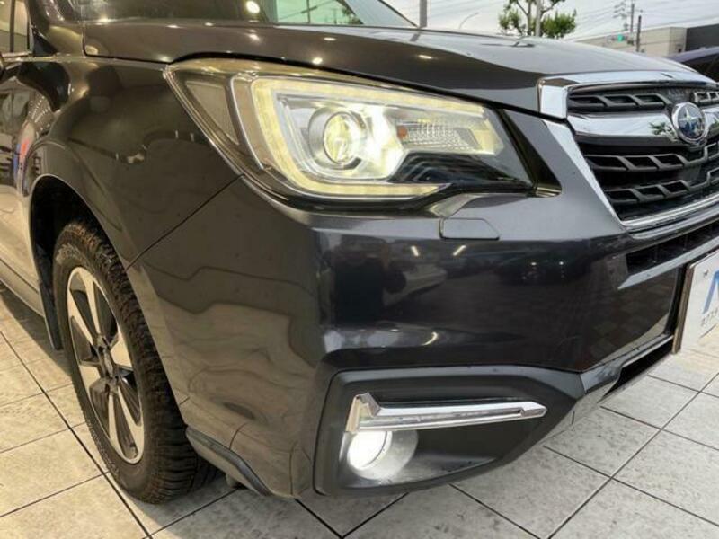 FORESTER-12
