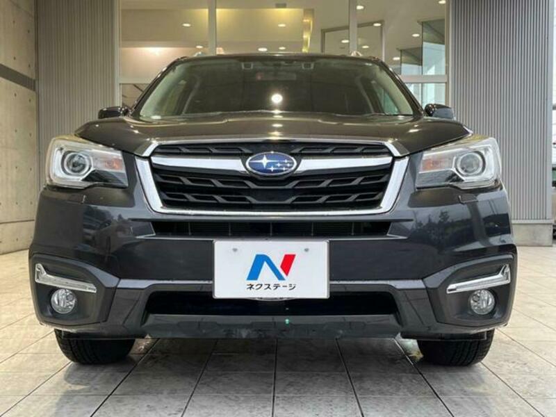 FORESTER-13