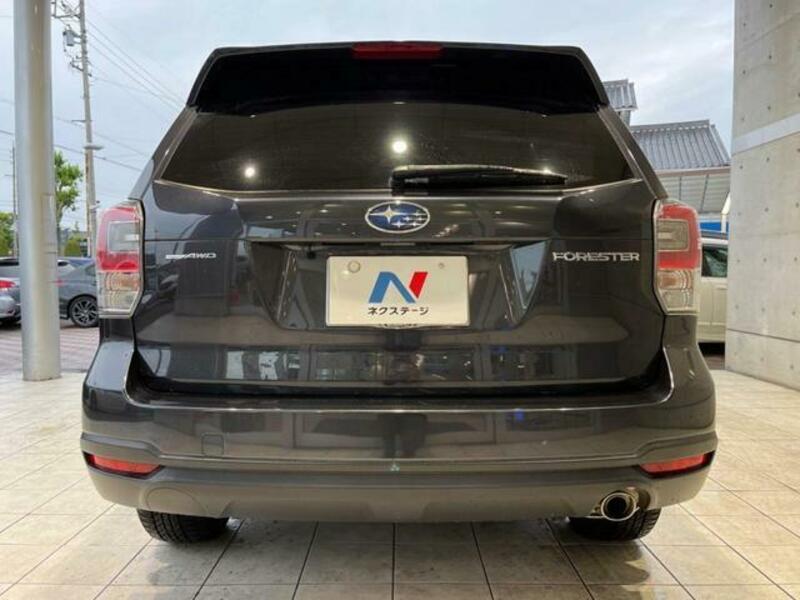 FORESTER-14