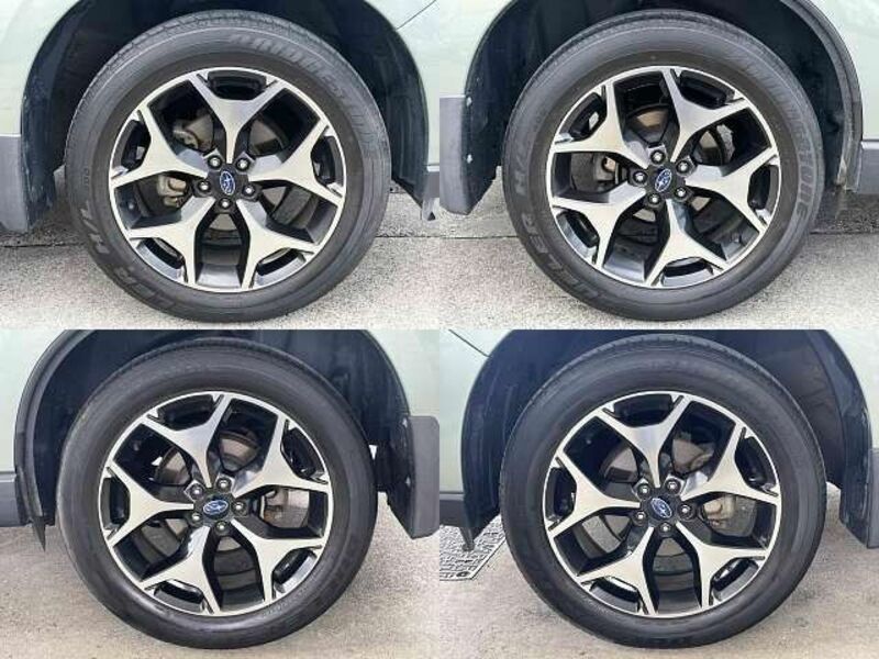FORESTER-3